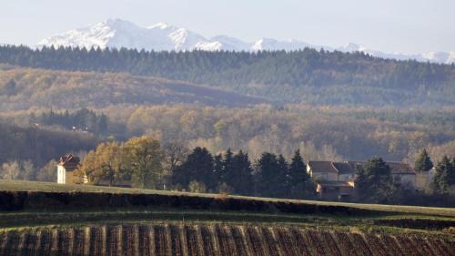 Escueillens-et-Saint-Just-de-Belengard House | Maison Tranquil
