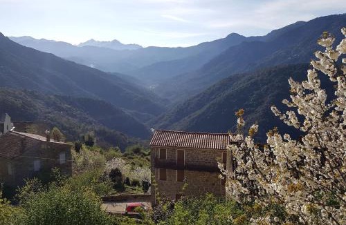 Letia House | MAISON TUCCARELLU