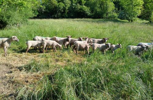 Mont-Saint-Jean House | Maison vacances 4 personnes