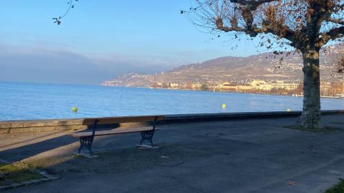 Roche Bed & Breakfast | Maison verte