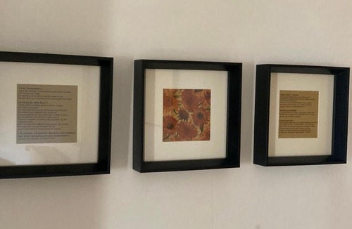 St.-Remy-de-Provence House | Maison Vincent