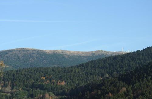 Marat House | Maison Vintage