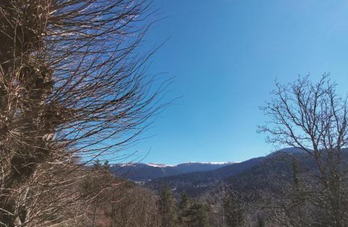 Marat House | Maison Vintage