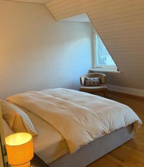 Werd Apartment | Maison Züri
