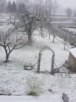 Kurtzenhouse Bed & Breakfast | maisonbleue67