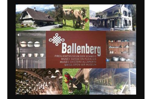 Hofstetten bei Brienz Apartment | Maisonette 4.5 Zimmer, Nähe Ballenberg