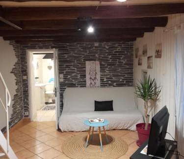 Beaufort-en-Anjou House | Maisonette entre Angers et Saumur 5mn bords de Loire