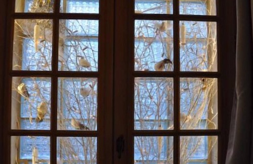 Uzes Villa | Maisonnette Avec Terrasse Dentrée et Balcon