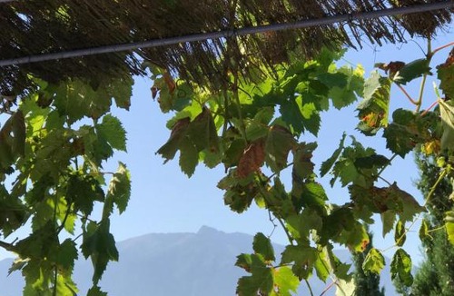 Molitg-les-Bains Apartment | Maisonnette El Puy