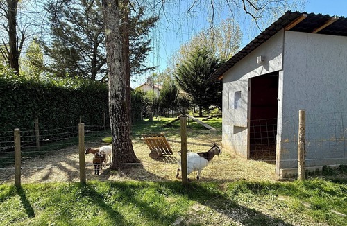 Breuil-Barret House | Maisonnette facing the animals