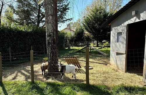 Breuil-Barret House | Maisonnette facing the animals