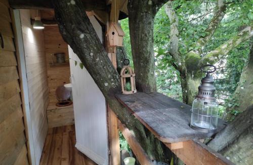 Le Mans Metropole House | Maisonnette perchée au cœur de la nature