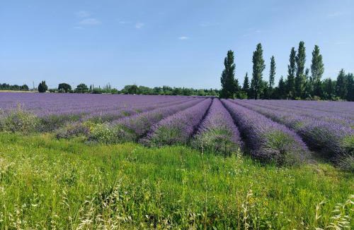 Courthezon Villa | Maisonnette provençale