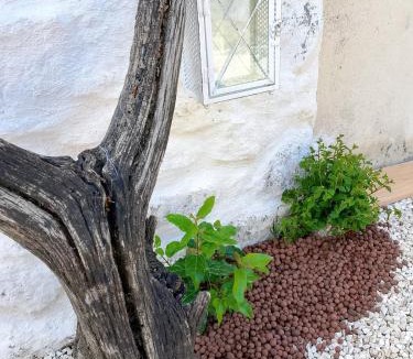 Caremeau House | Maisonnette Soleil