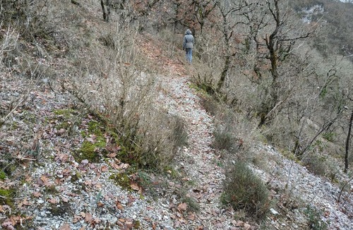 Sarrazac House | Maisonnette sur le Causse de Martel