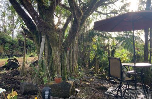 Mountain View House | Majestic Banya tree cabin