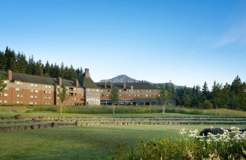 Stevenson Cabin | Majestic Treetop Getaway with Private Firepit