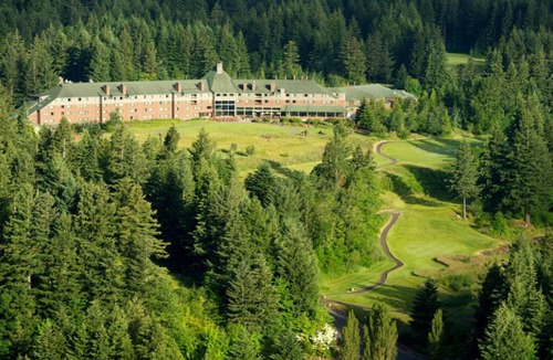 Stevenson Cabin | Majestic Treetop Getaway with Private Firepit