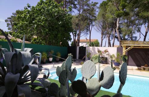Boujan-sur-Libron Apartment | Majopau