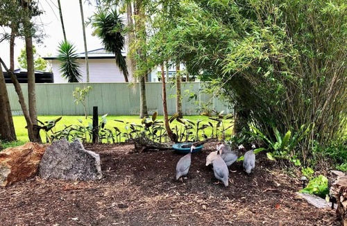 Pindimar House | Make memories at Serenity in Pindimar