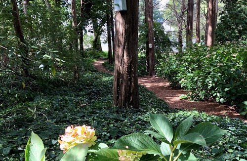 East Orleans House | Make Your Magical Summer Memories Here! (1796)