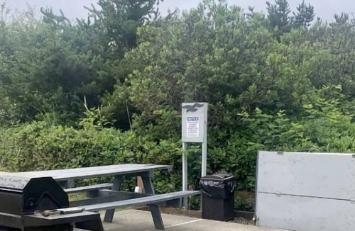 Ocean Shores Other | Make Your Trip More Enjoyable! Pets are Allowed