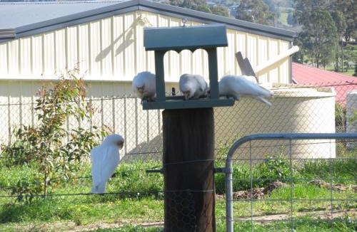 Louth Park Bed & Breakfast | Mala Retreat Chardonnay Studio Immaculate and Comfortable