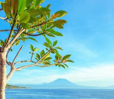 Penida Island Resort | Malibu Huts