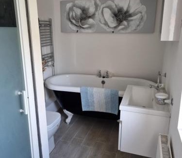 Larkfield House | Mallard Cottage Guest House