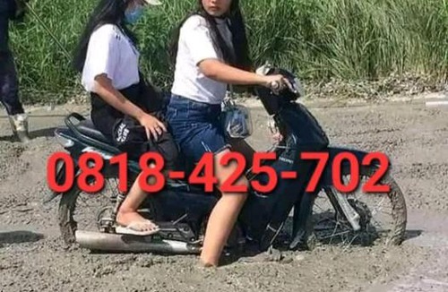 Sukajadi House | MAMA KOST 0818-425-702