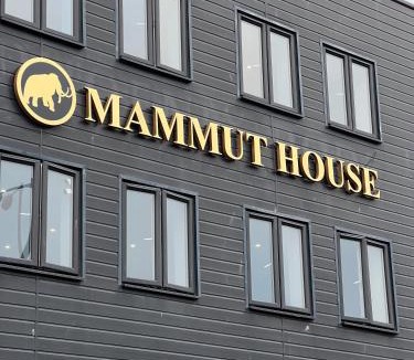 Vauxhall Apartment | Mammut House