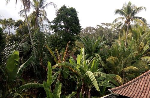 Kedewatan Bed & Breakfast | Manada Guest House