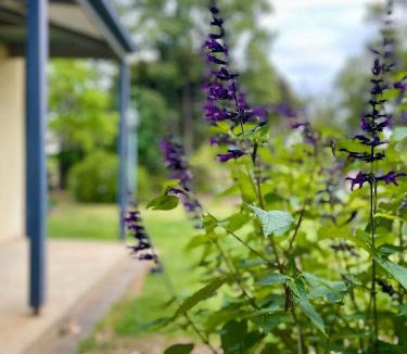 Benalla West House | Manas Guesthouse