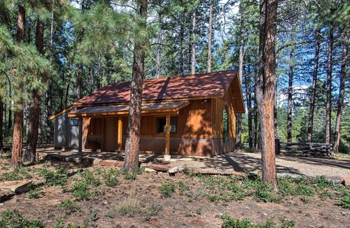 Mancos Cabin | Mancos Cabin Rental on 80 Acres w/Mountain View!