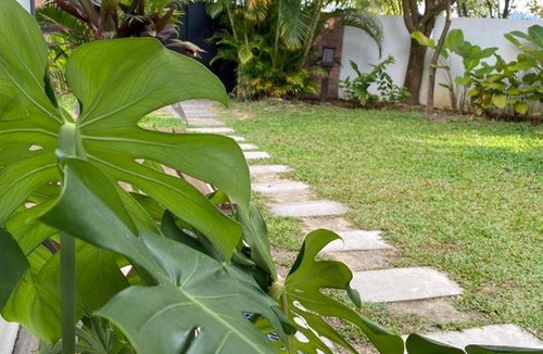 Bandar Puncak Alam House | Mangifera Villa with Private Pool