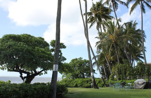 Kuliouou - Kalani Iki House | Mango Haven - A Gracious HISTORIC Beachfront Home