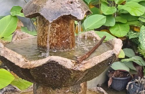 Tomohon Bed & Breakfast | Mango Road 07 Bed & Breakfast