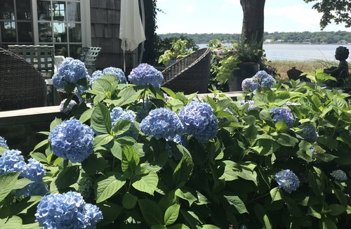 Port Washington House | Manhasset Bay. Easy commute to NYC Quiet setting Recent Cancellation opportunity