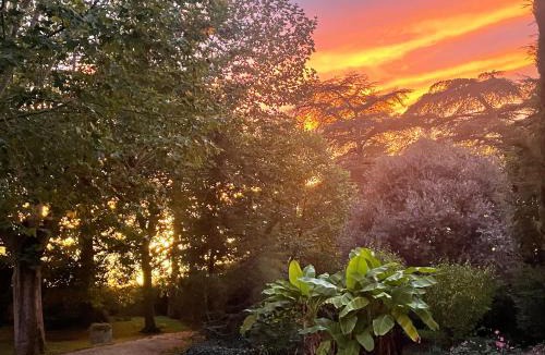 Courrensan House | Manoir d Armagnac