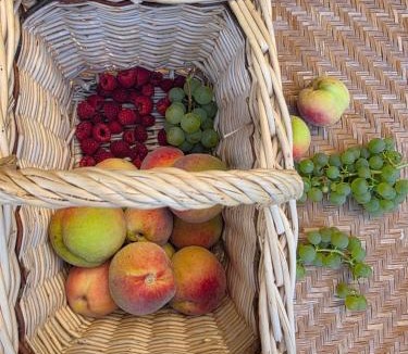 Laignes Bed & Breakfast | Manoir de L'Echauguette