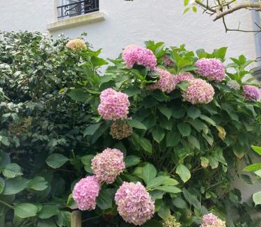 Corsept House | Manoir de l'Espérance