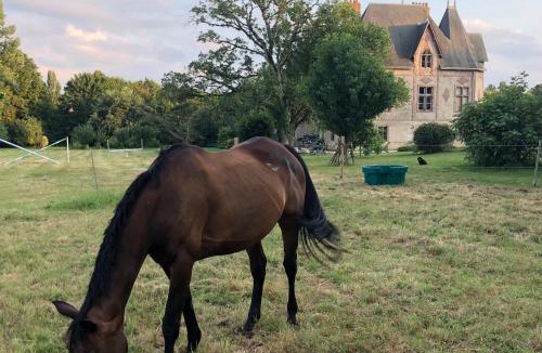 Montreuil-sur-Maine House | Manoir De La Chouanniere