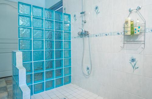 Amboise Bed & Breakfast | Manoir de la Maison Blanche