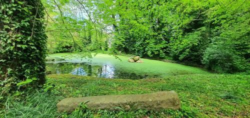 Sideville Bed & Breakfast | Manoir de Saint Ouen