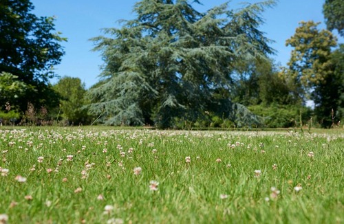 Cite House | Manoir des petites bretonnes