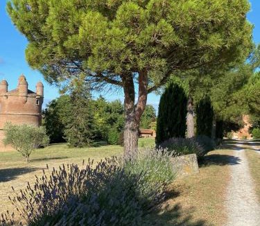 Cintegabelle Bed & Breakfast | Manoir du Bouyssou