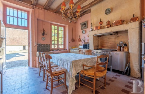 Savonnieres Other | Manoir du Plessis - Large house (9 pers)