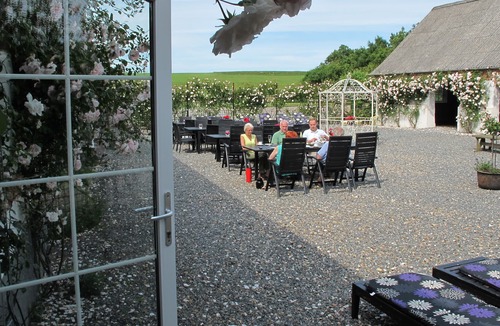 Spøttrup House | Manor house in a beautiful surrounding. Swimming pool. 41,000 m2 lovely park.