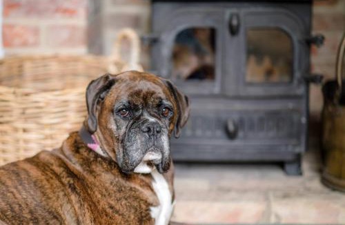 Walberswick House | Manor Lodge, Walberswick