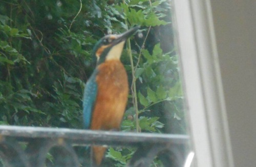 Bergerac House | Mansion - BERGERAC